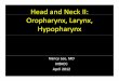 Head and Neck II: Oropharynx, Larynx, Hypopharynx · Head and Neck II: Oropharynx, Larynx, Hypopharynx Nancy Lee, MD MSKCC April 2012. Outline • Hi t i l d tHistorical data •