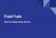 Fossil Fuels - Northwestern University - COFInuhep.northwestern.edu/~mvelasco/freshman_2017/FossilFuels.pdf · Main Types of Fossil Fuels: Coal Coal: made of carbon, ... Lignite :