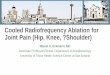 Cooled Radiofrequency Ablation for Joint Pain (Hip, … Eckmann TP… · Applied Neurophysiology 1976/77; ... •The articular branches of the obturator nerve vary in ... Cooled Radiofrequency