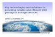 Key technologies and solutions in providing reliable and ... · Key technologies and solutions in providing reliable and efficient CO2 geological storage services Geneva, ... geomechanics,
