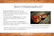 BASIC MECHANICS OF LONGBOARDING - … · Violin built by Antonio Stradivari . We build longboards with the same wood used since centuries for the construction of violins: best quality