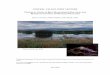 CENTRAL VALLEY JOINT VENTURE TECHNICAL … VALLEY JOINT VENTURE TECHNICAL GUIDE TO BEST MANAGEMENT PRACTICES FOR MOSQUITO CONTROL IN MANAGED WETLANDS Dean C. Kwasny1, Mike Wolder2,