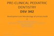 Introduction to pediatric Dentistry - faculty.psau.edu.sa · PRE-CLINICAL PEDIATRIC DENTISTRY DSV 342 Development and Morphology of primary teeth 2 ... maxillary molar