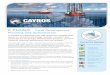 Field Development Planning and Optimization - Cayros Groupcayrosgroup.com/wp-content/uploads/2017/11/Brochure-ENG-2017.pdf · lifecycle financial assessments and risk analysis. nd