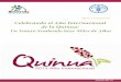 Celebrando el Año Internacional de la Quinua: Nota … · propiedades y valor agregado de la quinua. d) ... tradicionalmente productores de quinua (Argentina, Bolivia, Chile, 