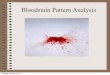 Bloodstain Pattern Analysis - NE-IAI Smotherman/files/Bloodstain...Bloodstain Pattern Analysis ... which the blood spatter creates a “trail”. The “trail may reproduce several