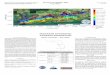 MAXIMUM ESTIMATED TSUNAMI INUNDATION · Tsunami Inundation Map Key West State of Florida Key West METHOD OF PREPARATION ... coupled with the 2D model NEOWAVE (Yamazaki et …