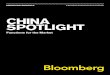 CHINA SPOTLIGHT - first.bloomberglp.comfirst.bloomberglp.com/documents/95002_China_Spotlight.pdf · CHINA SPOTLIGHT Functions for the Market. ... including an industry chat room