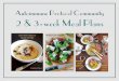 Autoimmune Protocol Community 2 & 3-week Meal … Protocol Community 2 & 3-week Meal Plans The Autoimmune Protocol The Autoimmune Protocol (AIP) is about more than just food. It also