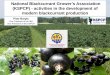 National Blackcurrant Grower s Association (KSPCP ... · National Blackcurrant Grower’s Association (KSPCP) - activities in the development of modern blackcurrant production 