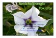 Anticholinergic Toxicity - UW Health · Anticholinergic Toxicity ... seizure, coma • Urinary retention – contributes to agitation ... Mnemonic Hot as a hare (hyperthermia)
