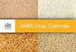 AMIS Crop Calendar · policy action in response to market uncertainty. The initial focus of AMIS is on four crops that are particularly important in international food markets, namely