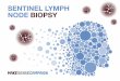 SENTINEL LYMPH NODE BIOPSY - Home - Norgine · LYMPH NODE? A sentinel lymph node is ... dissection, which is invasive surgery ... SENTINEL LYMPH NODE BIOPSY IN HEAD AND