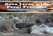 Save Lives with Feral Freedom - Amazon Web Services815678169699-bfas-files.s3-us-west-2.amazonaws.com/Feral-Freedom... · • What other feral cat programs are available? ... •