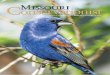 Missouri Conservationist May 2017 - Missouri … a study released last month, I’m not alone in appreciating the outdoors. Nearly 75 percent of adults agree that getting into nature