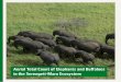 Aerial Total Count of Elephants and Bu aloes in the ... Elephant Count... · Aerial Total Count of Elephants and Bu aloes in the Serengeti-Mara Ecosystem. ... data validation, report