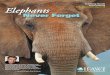 Teaching Guide Middle School Edition (Ages 11-14) Elephants · Elephants, Never Forget aims to ... B. Read Text Pages ... Gather the whole class and ask each group to report their