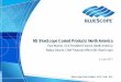NS BlueScope Coated Products North America - Amazon … · NS BlueScope Coated Products North America 9 June 2017 Paul Warme, ... THIS PRESENTATION DOES NOT TAKE INTO CONSIDERATION