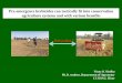 Pre-emergence herbicides can tactically fit into ... · Pre-emergence herbicides can tactically fit into conservation agriculture systems and with various benefits Vinay K Sindhu
