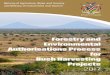 Ministry of Agriculture, Water and Forestry and Ministry ...€¦ · Ministry of Agriculture, Water and Forestry and Ministry of Environment and Tourism Forestry and ... innovative