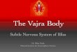 The Vajra Body - Miles Neale · The Vajra Body Subtle Nervous System of Bliss Dr. Miles Neale ... Inner Fire. This presentation contains images of the subtle body relevant to the