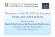 The impact of the EU ETS on European energy and carbon markets · The impact of the EU ETS on European energy and carbon markets ... Source: NGT. D Newbery Copenhagen 2010 13 Impact