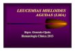 LEUCEMIAS MIELOIDES AGUDAS (LMA)ecaths1.s3.  MIELOIDES AGUDAS (LMA) Bqco. Gonzalo Ojeda Hematologa Clnica 2013