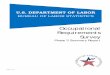 Occupational Requirements Survey - Bureau of Labor Statistics · In April 2012, the Bureau of Labor Statistics (BLS ... initiative – the Occupational Requirements Survey ... the