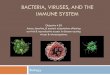 BACTERIA, VIRUSES, AND THE IMMUNE SYSTEM - … ·  · 2011-05-05BACTERIA, VIRUSES, AND THE IMMUNE SYSTEM Biology Objective 4.03 Assess, ... Bacteria Growth Patterns Shapes: - Coccus