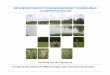 Wetland Restoration to Enhance Biodiversity in …urbionetwork.org/data/documents/urbio2010_keynote_kim.pdfWETLAND RESTORATION TO ENHANCE BIODIVERSITY IN URBAN AREAS: ... Green Rooftop