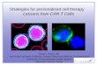 Strategies for personalized cell therapy Lessons from …/media/Files/Activity Files/Disease... · Strategies for personalized cell therapy Lessons from CAR T Cells ... – Vaccine