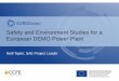 Safety and Environment Studies for a European DEMO Power Plant Meeting... · Safety and Environment Studies for a ... iterative process with designers ... • All summarised in SEIF