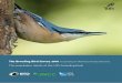 The Breeding Bird Survey 2016 - British Trust for … Breeding Bird Survey 2016. BTO Research Report 700 British Trust for Ornithology, Thetford. Published by the British Trust for