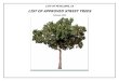 LIST OF APPROVED STREET TREES - City of Petalumacityofpetaluma.net/cdd/pdf/approved-treelist.pdfLIST OF APPROVED STREET TREES February 2016 List of Trees Approved for Planting Adjacent