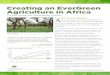 Creating an EverGreen Agriculture in Africa 4pager alt... · Creating an EverGreen Agriculture in Africa ... of their effectiveness is building a healthy soil and ... organic nutrients,
