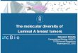 The Molecular Diversity of Luminal A Breast Tumors · The molecular diversity of Luminal A breast tumors ... Luminal B PAM50: ... N-Cor NCOR1 5% 2% TBL1XR1 2% GPS2 3% ANKRD11
