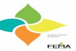 Graphic Identity Guidelines - Flavor Extract Manufacturers ... · These guidelines outline correct and PG 3 consistent application of the FEMA brand identity. Adherence to the guidelines