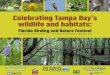 Celebrating Tampa Bay’s wildlife and habitatsnieonline.com/tbtimes/downloads/supplements/celebrating...tampabay.com/nie 1 Celebrating Tampa Bay’s wildlife and habitats: tampabay.com/nie/nature