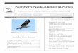 Northern Neck Audubon News by sap. So as the sap rises ... NORTHERN NECK AUDUBON NEWS! ... numerous newspapers and magazines. Marlene …