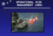 OPERATIONAL RISK MANAGEMENT BACKGROUND & …€¦ · PPT file · Web viewA specific seven step process supported with tools and job aids. ... OPERATIONAL RISK MANAGEMENT BACKGROUND