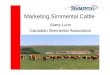 Marketing Simmental Cattle2 - Savana.cz€¢ Marketing plan includes print advertising, video advertising, relationship building, education and ... Maggie Dulaney-Brecknock White Haven