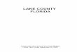 LAKE COUNTY FLORIDA · All Nonmajor Funds 104 Major Funds: ... charged within the county limited to $50 per transaction ... LAKE COUNTY, FLORIDA September 30, 