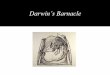 Darwin’s Barnacle - Interdisciplinary Centre for Computer …cmr.soc.plymouth.ac.uk/Darwin's Barnacle Perf.pdf ·  · 2009-02-26Darwin’s Barnacle is an intimate piece of music