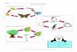 Name: Life Cycle Worksheet - Heal the Bay Life Cycles...Life Cycle Worksheet – Page 2 ... My Family Tree worksheet and have them place their photos in the 
