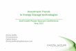 Investment Trends in Energy Storage technologies sheffer - capital nature... · Investment Trends in Energy Storage technologies _____ 2nd Israeli Power Sources ... (GTM Research)