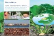 The BioBased Delta 4 - Green Chemistry Campus · The Biobased Delta encompasses the Southwest Netherlands and a ... provided a solid business case is presented. ... Nieuw Prinsenland