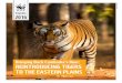 Bringing Back Cambodia’s Roar: REINTRODUCING …awsassets.panda.org/downloads/cambodia_tiger_reintroduction...Narendra Gowda / WWF 2016 TIGERS Bringing Back Cambodia’s Roar: REINTRODUCING