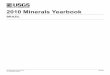 2010 Minerals Yearbook - USGS Minerals Yearbook ... remain among the global leaders in the production of mineral ... pre-salt crude oil and natural gas reserves would influence