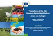 The reform of the EU's Common Agricultural Policy reform of the EU's Common Agricultural Policy: ... productivity, climate change ... sectors and farm sizeAuthors: Alan SwinbankAffiliation: