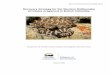Recovery Strategy for the Western Rattlesnake (Crotalus ... · Recovery strategy for the Western rattlesnake ... (2008–2012) are to: ... Broad Recovery Strategies for the Western